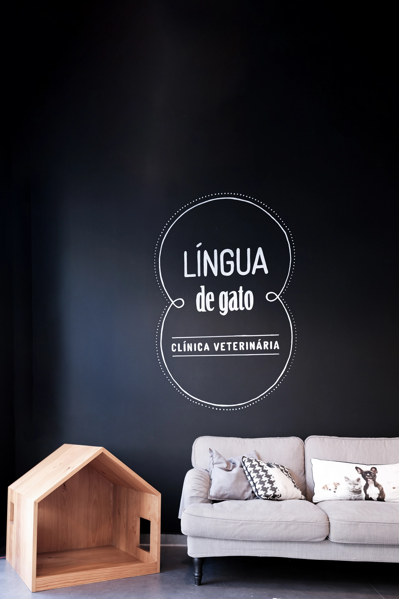 Lingua-de-gato-clinica-veterinaria-2.webp