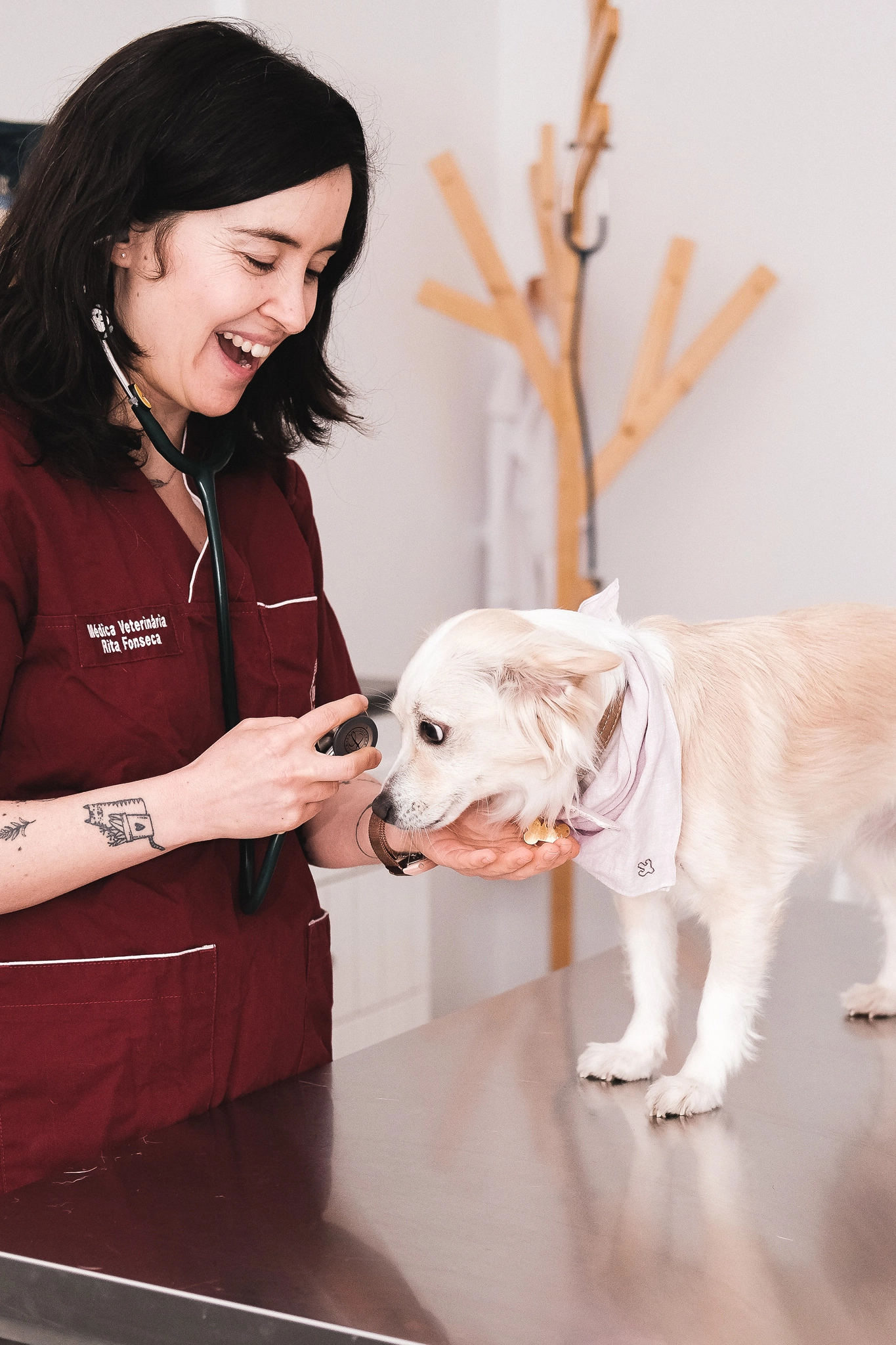 Lingua-de-gato-clinica-veterinaria-consulta.webp