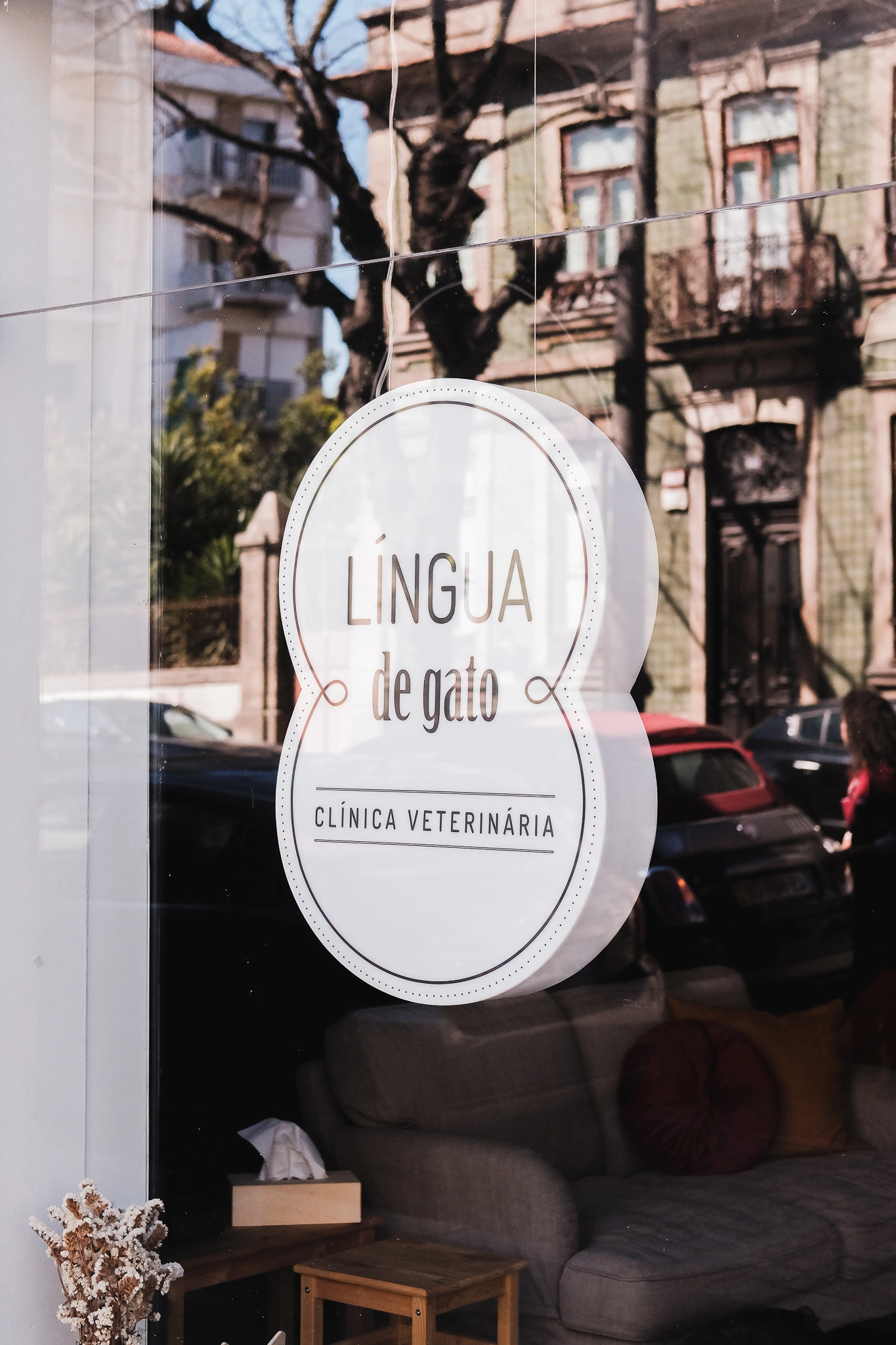 Lingua-de-gato-clinica-veterinaria-espaco.webp
