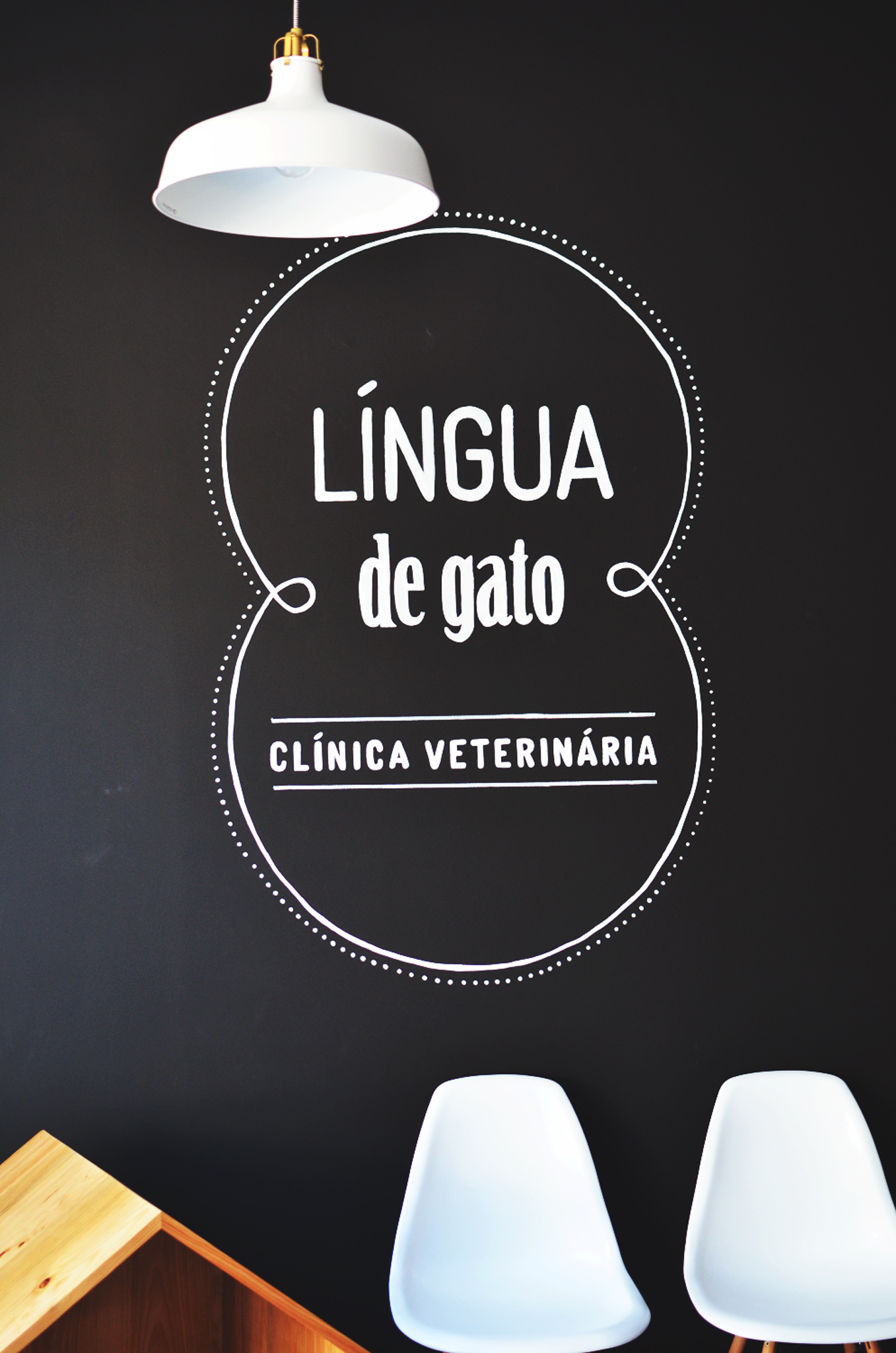 Lingua-de-gato-clinica-veterinaria-espaco