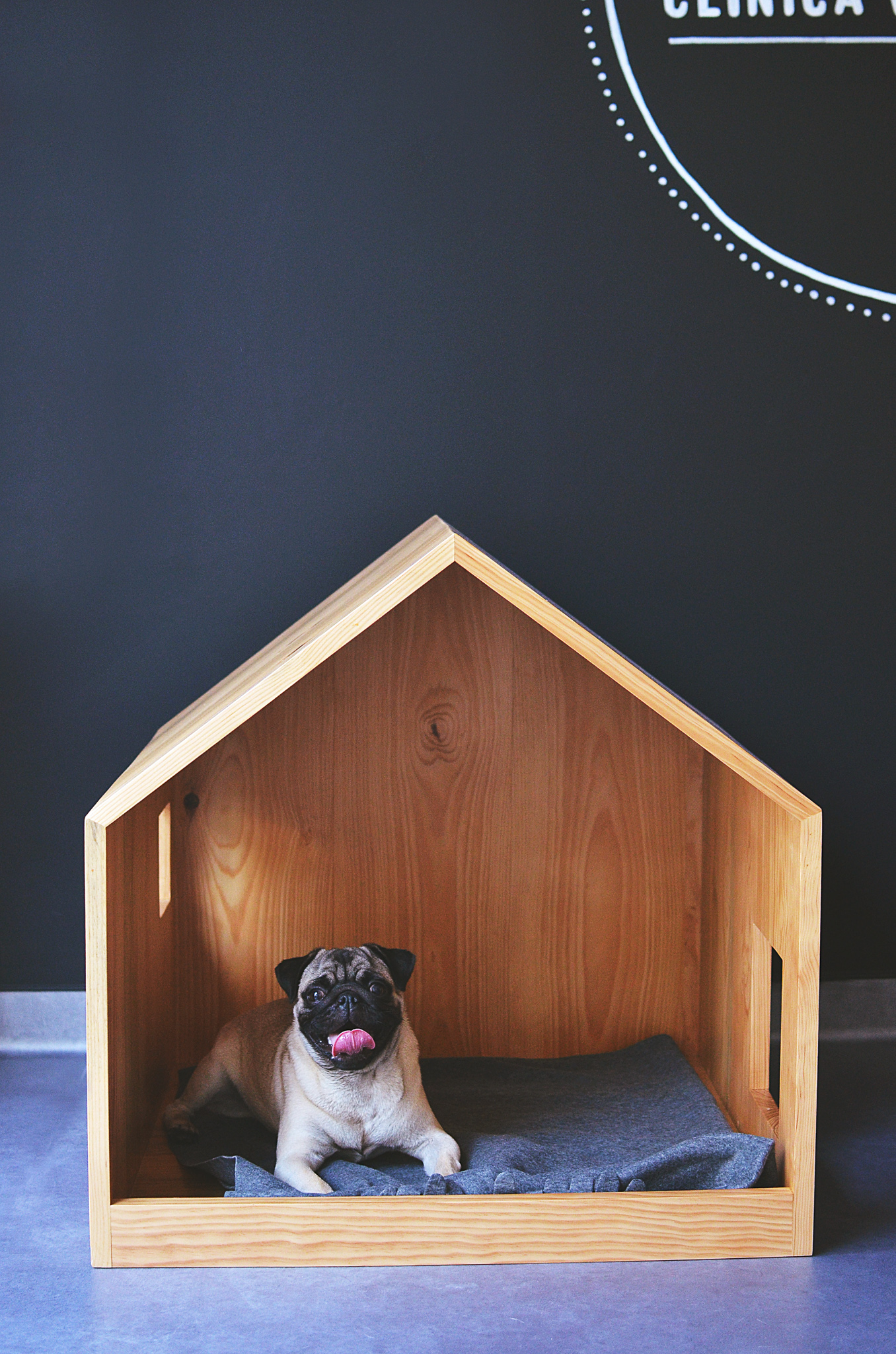 Lingua-de-gato-clinica-veterinaria-pug2
